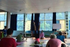 rishikesh-ayurved-4