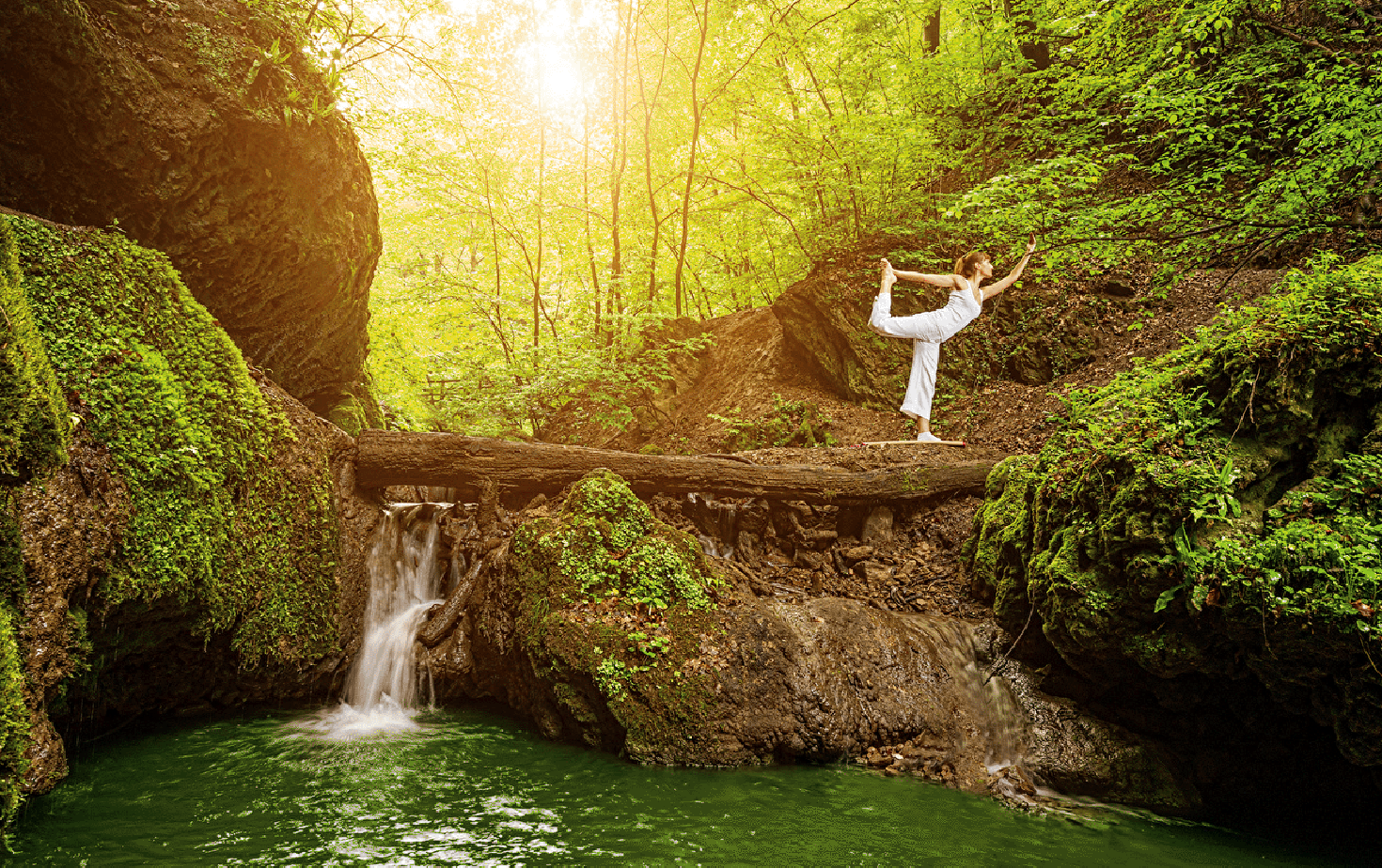 Ayurveda and Yoga Course