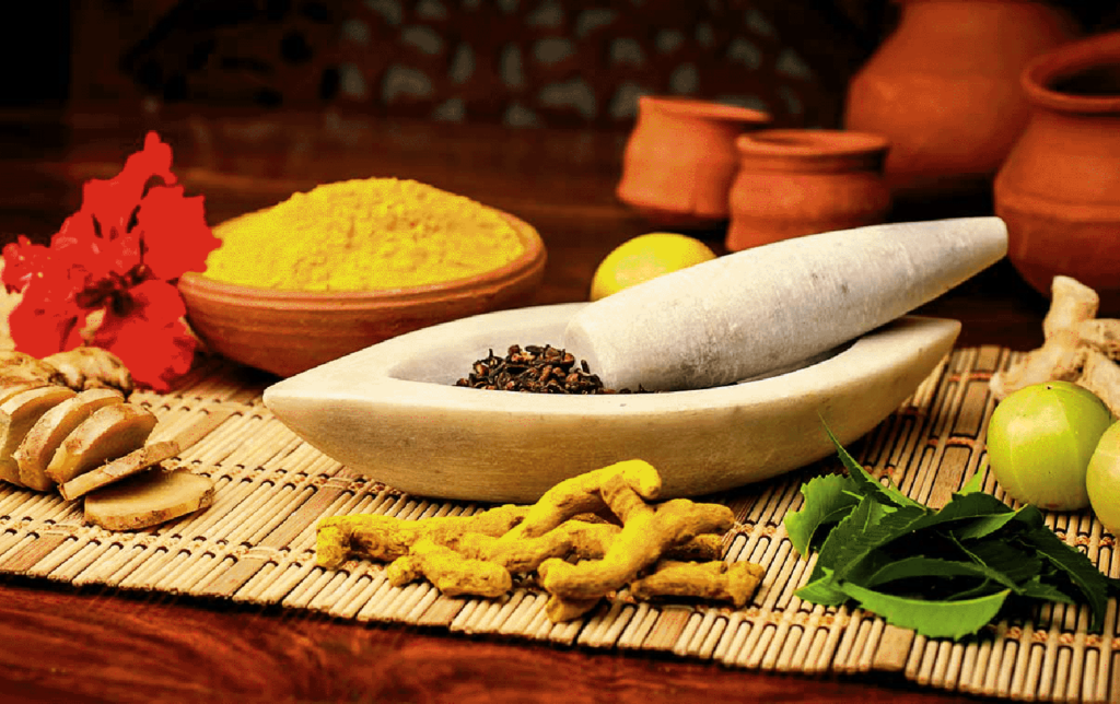 Ayurveda Life Style Consultant Course