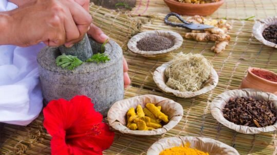 Ayurveda Treatment